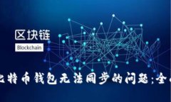 解决比特币钱包无法同步