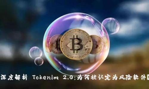 深度解析 Tokenim 2.0：为何被认定为风险软件？