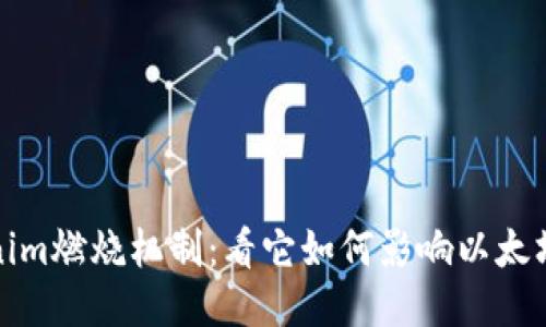 Tokenim燃烧机制：看它如何影响以太坊生态