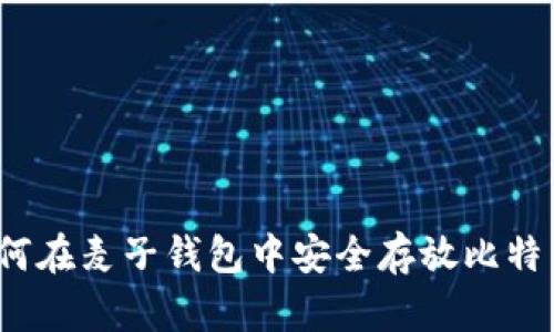 如何在麦子钱包中安全存放比特币？