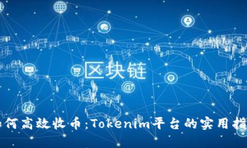 如何高效收币：Tokenim平台的实用指南