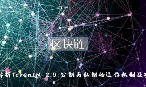 深入解析TokenIM 2.0：公钥与私钥的运作机制及安全性