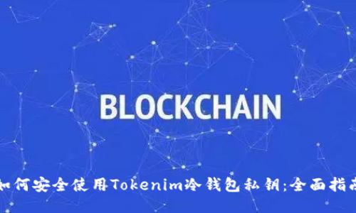 如何安全使用Tokenim冷钱包私钥：全面指南