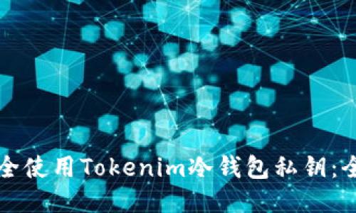 如何安全使用Tokenim冷钱包私钥：全面指南