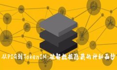 从PIG到TokenIM：破解数据隐