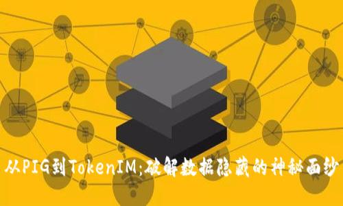 从PIG到TokenIM：破解数据隐藏的神秘面纱