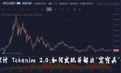 深入探讨 Tokenim 2.0：如何发现并解决“窟窿头”的问题