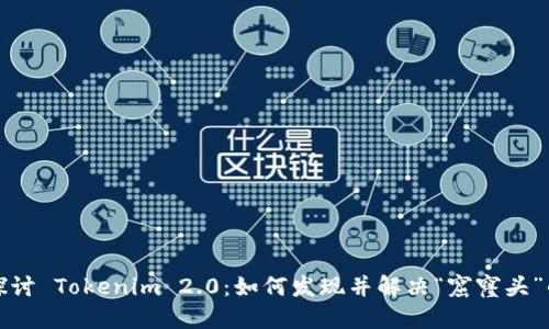 深入探讨 Tokenim 2.0：如何发现并解决“窟窿头”的问题