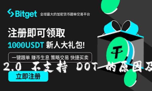 TokenIM 2.0 不支持 DOT 的原因及解决方案