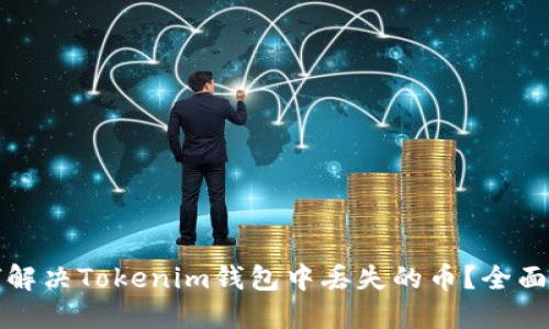 如何解决Tokenim钱包中丢失的币？全面指南