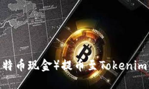如何将BCH（比特币现金）提币至Tokenim钱包：完整指南