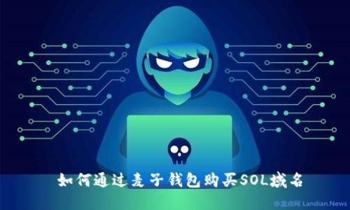  如何通过麦子钱包购买SOL域名