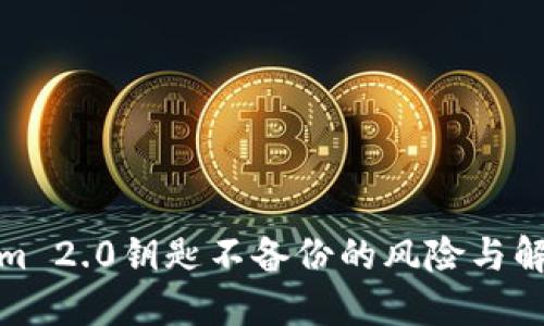 Tokenim 2.0钥匙不备份的风险与解决方案