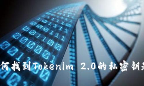 如何找到Tokenim 2.0的私密钥匙？